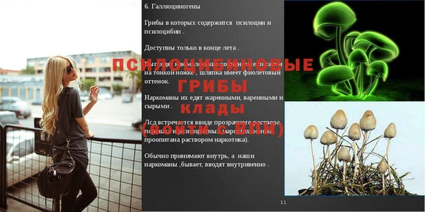 МДПВ Переславль-Залесский