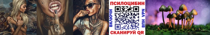 Псилоцибиновые грибы GOLDEN TEACHER  купить наркотик  Теберда 